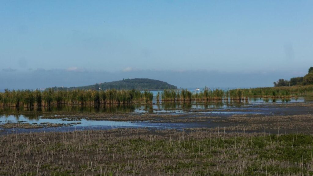 Lago Trasimeno