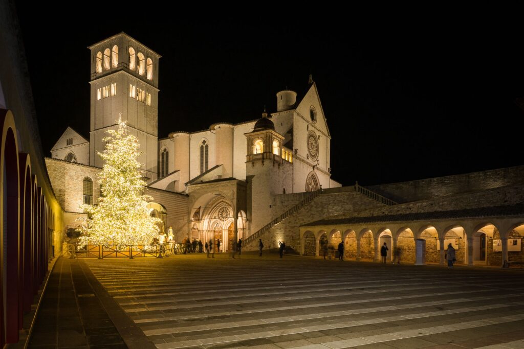 Il Natale si inaugura anche ad Assisi con l'accensione dell'Ecoalbero