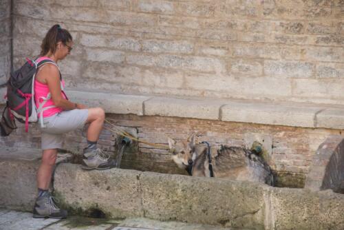 Cammino-Terre-Mutate-Tappa-1-Fabriano-Matelica-camminatrice-con-il-suo-cane-nella-fontana