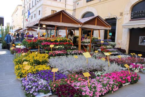 Grande fiera di Pasqua Perugia2