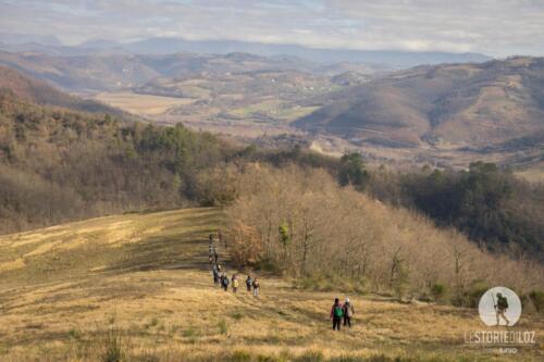 Via di Francesco 02 2020-02571