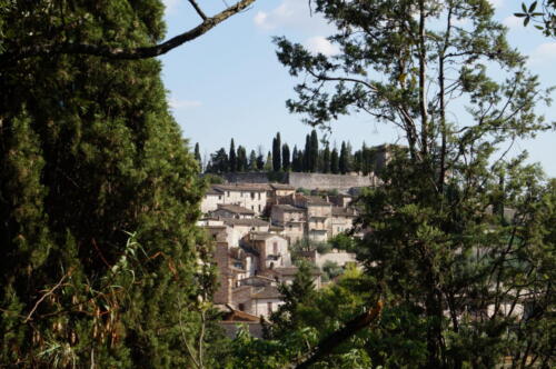 Vista su Spello dal sentiero seraphico