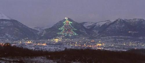 albero di Gubbio