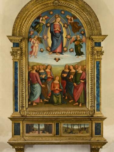 il perugino v