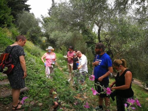 laboratorio di giardinaggio