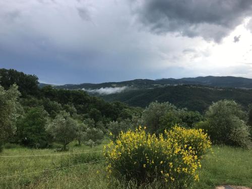 Oasi WWF La Malcontenta e il Lupo 