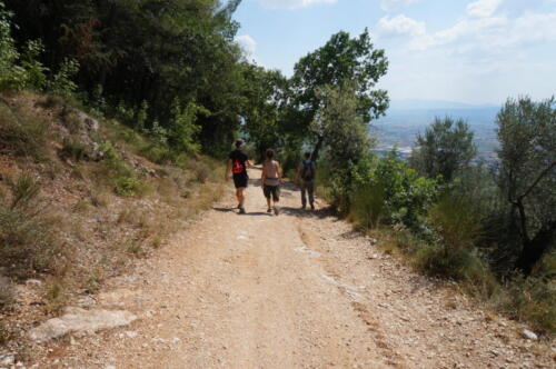 trekking tra gli ulivi